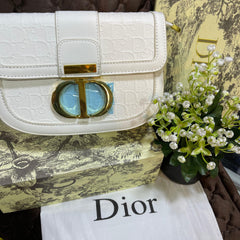 DIOR MASTER COPY BAG