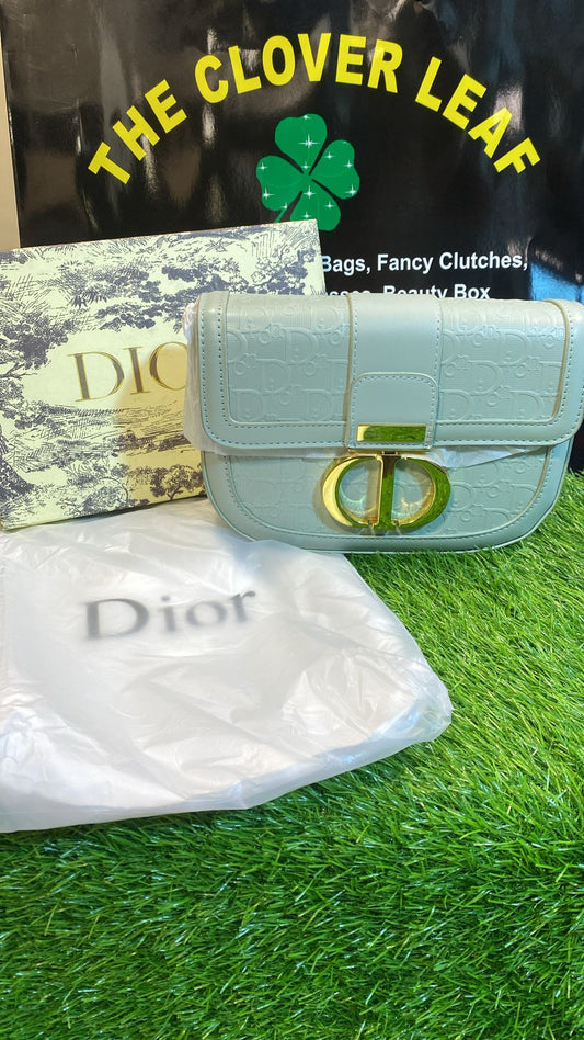 DIOR MASTER COPY BAG